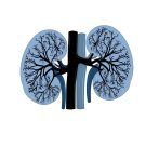 Ep.59 Keep your fire burning: Winter wisdom for your Kidneys.