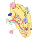 86 The Spleen, Late Summer & Reclaiming Your Energy.